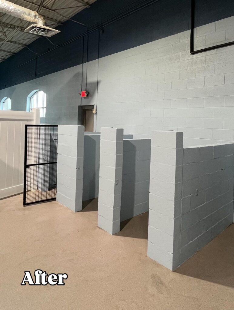 Dog Door installation